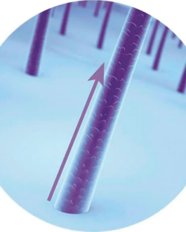 Siàge Acelera o Crescimento: Shampoo 250ml + Condicionador 200ml