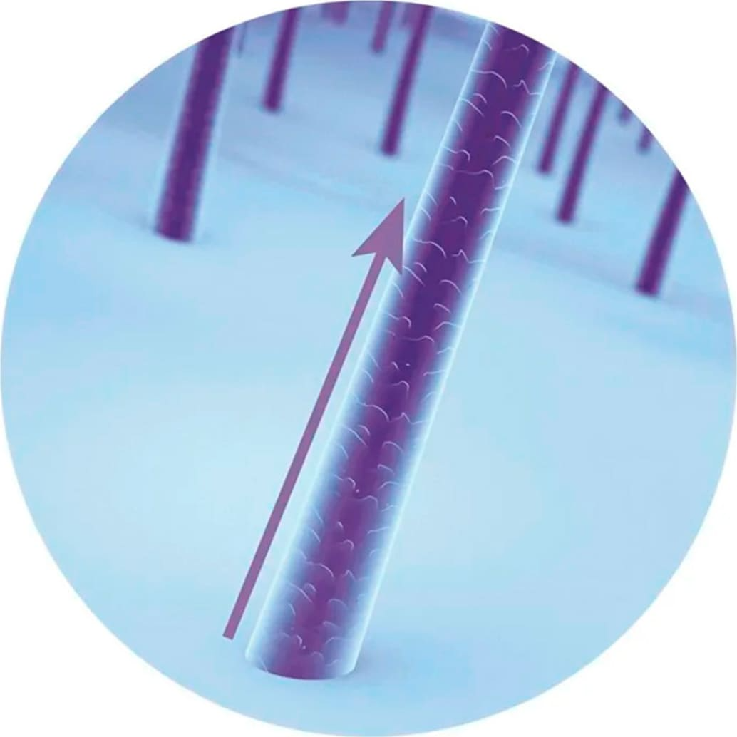 Siàge Acelera o Crescimento Siàge Acelera o Crescimento